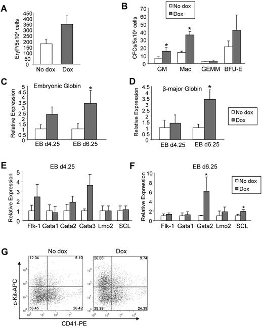 Figure 3. ALK-1 gain-of-function stimulates hematopoiesis. iALK-1 ES cells were differentiated as EBs in the presence or absence of Dox for 4.25 and 6.25 days, and assayed for primitive erythroid (A) and definitive CFCs (B), respectively. Error bars indicate SEs of 3 independent experiments performed in duplicate. Gene expression analyses for embryonic globin (C) and β major globin (D) at days 4.25 and 6.25 of EB differentiation. Transcripts are normalized to Gapdh. Error bars indicate SE from 2 independent experiments performed in duplicate. (E-F) Relative levels of Flk-1, Gata1, Gata2, Lmo2, and SCL in 4.25 and 6.25 EBs, respectively. Transcripts are normalized to Gapdh. (G) A representative FACS profile for CD41 and c-Kit in induced and noninduced iALK-1 cells at EB day 6.25. Fluorescence intensity for c-Kit is indicated on the y axis and CD41 on the x axis. *P < .05, ***P < .001