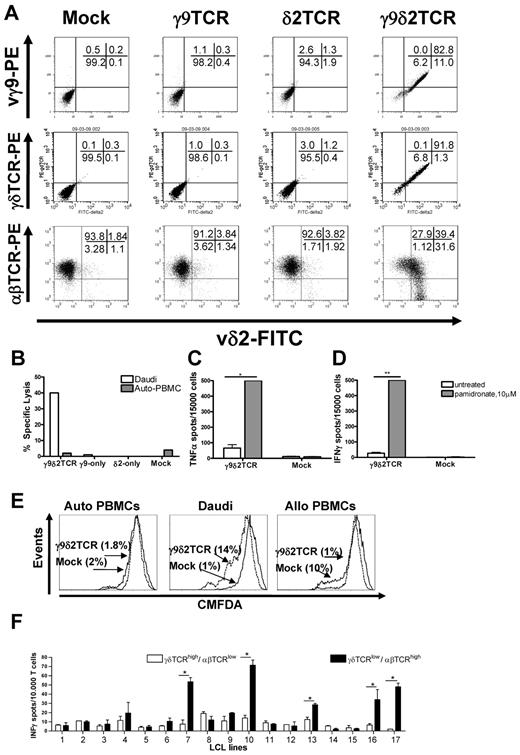 Figure 1. Functional expression of γ9δ2 TCR in αβT cells. Surface expression of specific staining for Vδ2 together with either staining for Vγ9, for γδTCR, or for αβTCR as indicated in panel A. Presented representative dot plots have been confirmed in at least 3 independent experiments. (B) Specific lysis of the Daudi cells or autologous PBMCs (Auto-PBMC) tested by 51Cr-release assay with T cells that were transduced with γ9, δ2, or both chains. Mock-transduced cells served as a negative control in all the experiments. Shown is a representative experiment at the E:T 10:1. TNFα (C) and IFNγ (D) secretion by the γ9δ2TCR or mock-transduced αβT cells in response to Daudi cells was tested. αβT cells were incubated with target cells at the E:T 0.3:1 for 48 hours in absence or presence of 10μM pamidronate,, respectively. Shown are representative results of at least 3 independent experiments. Statistical analysis was determined by 2-way ANOVA analysis; *P < .01; **P < .001. (E) Proliferation of CMFDA-labeled γ9δ2TCR or mock-transduced αβT cells in response to Daudi cells. Autologous and allogeneic PBMCs were tested following 4 days at an E:T ratio of 3:1. CMFDA labeling is diluted in the proliferating cells. (F) γ9δ2TCR-transduced αβT cells were FACS-sorted based on their δ2TCR and αβTCR expression resulting in 2 distinct populations either expressing γ9δ2TCRhigh/αβTCRlow or γ9δ2TCRlow/αβTCRhigh. The FACS-sorted fractions were cocultured with partially mismatched LCL lines 1-17 for 24 hours, and production of IFNγ was determined via ELISPOT analysis. Data show mean ± SEM of duplicate samples. Comparable results were obtained in 3 independent experiments and by using transduced primary T cells of 2 healthy donors. Statistical analysis was determined by 2-way ANOVA analysis; *P < .001.