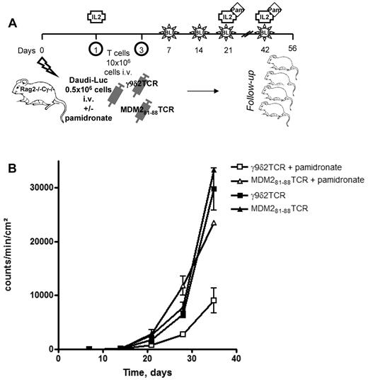 Figure 6. In vivo effect of γ9δ2TCR-transduced αβT cells on Daudi tumor growth. (A) Schematic overview of the experiment. RAG2−/−γc−/− double knockout mice received a sublethal total body irradiation with 2.0 Gy x-rays on day 0. The next day, mice were intravenously injected with 0.5 × 106 Daudi-Luc cells and 107 γ9δ2TCR or MDM281-88–specific TCR-transduced αβT cells. The same dose of T cells was injected on day 3. Mice in the indicated groups received an injection of pamidronate on day 1 IV and on days 21 and 42 IP. All mice received 6 × 105 IU of IL2 with IFA subcutaneously on days 1 and 21. (B) Tumor load was measured by quantifying the luciferase activity produced by the transduced Daudi tumor cells using the Biospace In Vivo Imaging System once a week. Shown are the results of 1 representative experiment of 2 independent repetitions (n = 5).