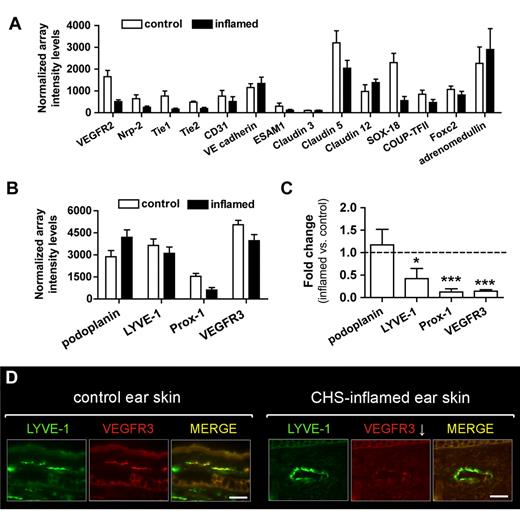 Figure 2. Lymphatic marker genes are down-regulated in LECs during CHS-induced inflammation. Analysis of the normalized array intensity levels of various (A) pan-endothelial and (B) LEC specific marker genes. In the case of genes that were represented in the arrays by multiple probe sets, the average signal intensity of all present probes is displayed. (C) A significant, inflammation-induced down-regulation of LYVE-1, Prox-1, and VEGFR3 was confirmed by quantitative PCR analysis. *P < .05. ***P < .001. (D) Immunofluorescence was performed on cryosections, obtained from uninflamed (control) or CHS-inflamed ears 48 hours after challenge, and confirmed an inflammation-induced down-regulation (↓) of VEGFR3 (red) in LYVE-1-expressing lymphatics (green) at the protein level. Representative images from 2 different experiments are shown. Scale bar represents 50 μm.