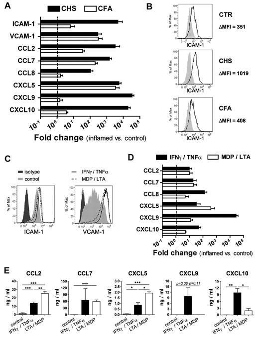 Figure 5. The pattern of chemokine and ICAM-1 expression in LECs depends on the nature of the inflammatory stimulus. (A) Quantitative PCR analysis performed on amplified cDNA from ex vivo isolated LECs revealed marked differences in the pattern of ICAM-1 and chemokine production in response to CHS- or CFA-induced skin inflammation. Pooled data from 3 or 4 independent experiments are shown. (B) Up-regulation of ICAM-1 in LECs (gated on CD45−CD31+podoplanin+ cells) in response to CHS- but not CFA-induced inflammation was confirmed by FACS analysis performed on ear tissue single-cell suspensions. ΔMFI indicates difference in the median fluorescent intensity between the ICAM-1 signal and the isotype signal. Black line represents ICAM-1 staining; and gray, tinted line, isotype control staining. (C-E) Conditionally immortalized Immorto LECs (imLECs) were treated with combinations of IFN-γ/TNF-α or MDP/LTA to mimic CHS- or CFA-induced inflammation, respectively. (C) FACS analysis of the induction of ICAM-1 and VCAM-1 by the treatment. (D) Analysis of the mRNA chemokine expression profiles induced by the treatment. (E) Chemokines were measured in the cell culture supernatant of imLECs treated with IFN-γ/TNF-α or LTA/MDP using a FACS-based cytokine assay. *P < .05. **P < .01. ***P < .001.