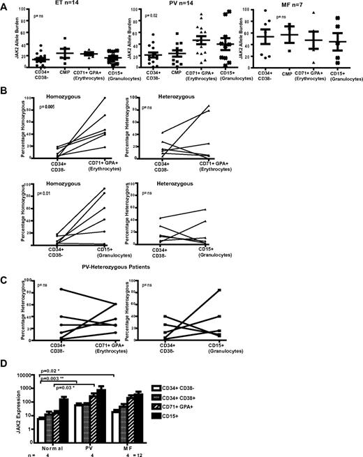 Figure 2. JAK2 allele burden analysis in MPN patients and the expression pattern of total JAK2 with myeloid differentiation. (A) Scatter graphs of the JAK2 V617F allele burden are shown for PV, ET, and MF patients in 4 separate compartments of myeloid differentiation; the Lin−/CD34+/CD38− HSC compartment, CMP compartment, CD34−/CD71+/GPA+ erythrocyte compartment, and CD15+ PB granulocytes. For the HSC and CMP compartments, on average, 60 colonies were picked from methylcellulose and individually genotyped by pyrosequencing. JAK2 V617F allele burden in later nonclonogenic compartments was also analyzed by pyrosequencing. The average mutant allele burden was higher in the later granulocyte and erythroid compartments of both PV and MF patients. However, although heterogeneity was noted in both diseases, the growth kinetics of the mutant clone differs. In MF patients, the average mutant allele burden is already high in the stem cell–enriched fraction and remained, on average, stable throughout differentiation. For PV patients, the allele burden increased significantly during myeloid maturation (P = .02 by 1-sided analysis of variance test). In ET patients, the mutant burden was relatively low in the stem cell compartment and remained stable throughout myeloid ontogeny. (B) A comparison between the contribution of homozygous (left column) and heterozygous (right column) clones to hematopoiesis at early (Lin−/CD34+/CD38− HSC compartment) and 2 later differentiation compartments (row above, the CD34−/CD71+/GPA+ erythroid and below the CD15+ granulocyte compartment) for 6 patients with PV. The scatter graphs show the linked values at the 2 time points for individual patients. In both differentiation to mature erythroid and granulocytic lineages, there is a significant expansion of the homozygous clone (P = .005 for erythroid and P = .01 for granulocytic), although the heterozygous clone size does not alter significantly (both nonsignificant). (C) Similar paired analysis for 6 PV patients who lack a homozygous clone, comparing the V617F allele burden in the HSC-enriched (Lin−/CD34+/CD38−) with the CD34−/CD71+/GPA+ erythroid (left panel) and the CD15+ granulocyte compartment (right panel). No significant clonal expansion is seen during differentiation from the HSC-enriched to later compartments. (D) Expression of total JAK2 mRNA was determined by quantitative real-time PCR in purified flow-sorted cells from healthy controls (n = 4) and patients with JAK2 V617F-positive MPN (n = 8, 4 PV and 4 MF patients). Expression values were normalized to the expression levels of the control gene ABL1 mRNA and are shown on a logarithmic scale. Expression levels were seen to increase on myeloid differentiation. Experiments were performed in duplicate for each patient (mean ± SEM). In addition, a statistically significant increase in total JAK2 levels was seen in the Lin−/CD34+/CD38− compartment between PV and MF patients and normal controls (P = .003 and .02, respectively), and in the CD71+/GPA+ compartment, between PV patients and normal controls (P = .03). Taken together, this suggests that JAK2 expression may be higher for MPN patients compared with normal controls. Similar results were found with another housekeeping gene, GUSB (data not shown).