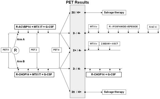 Figure 1. Scheme of the treatment according to the LNH2007-3B trial. MTX indicates methotrexate; IT, intrathecally; IV, intravenously; AraC, cytosine arabinoside; sc, subcutaneously; and Z-BEAM, carmustine, etoposide, cytarabine, and melphalan with Zevalin (ibritumomab tiuxetan).