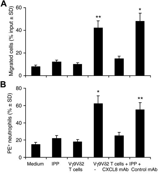 Figure 5. IL-17+ Vγ9Vδ2 T cells promote CXCL8-mediated neutrophil migration and phagocytic activity. (A) Neutrophils were placed in the top well of a Boyden Chamber, and IL17+ Vγ9Vδ2 T cells were placed in the lower chamber in the presence or absence of IPP. In some experiments, neutralizing mAb to CXCL8 or isotype control mAbs were added to the lower chamber. After 3 hours of incubation at 37°C, migrated neutrophils adherent to the lower side of the membrane were stained and counted. Data are expressed as percentage of migrated cells among input. (B) Neutrophils were incubated with PE-fluorescent beads in the presence of IL17+ Vγ9Vδ2 T cells and IPP. In some experiments, neutralizing mAbs to CXCL8 or isotype control mAbs were added to cultures. After 2 hours, the percentage of PE+ neutrophils was determined FACS. Data are expressed as percentage PE+ neutrophils. *P < .01 and **P < .02 compared with all other groups.