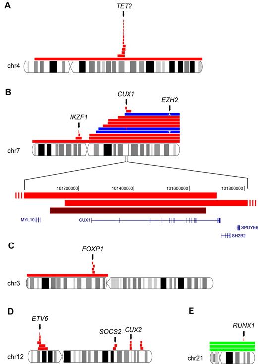 Figure 4. Commonly deleted chromosomal regions in MPN that map to single-target genes. Red horizontal bars indicate deletions; dark red, homozygous deletion; and blue, UPDs. (A) Recurrent deletions on chromosome 4q target the TET2 gene. (B) Complexity of chromosome 7 aberrations in MPN. The CDR on 7p (IKZF1) and 7q (CUX1) are shown. Two events of 7qUPD associated with an EZH2 mutation (*) are shown in blue. Another 7qUPD is negative for EZH2 mutations but has homozygous CUX1 deletion. Two overlapping deletions in the CUX1 gene locus and the homozygous deletion of CUX1 are shown at higher magnification. (C) Five overlapping deletion events on chromosome 3p define the target gene as FOXP1. (D) Recurrent deletions on chromosome 12. The target of 12p deletions is ETV6, whereas 1 of the commonly deleted regions on 12q contains CUX2. (E) Aberrations on chromosome 21q affecting RUNX1: single-gene deletion of RUNX1 and trisomy 21 with 2 nonsense mutations in RUNX1. chr indicates chromosome and Mbp, mega base pairs.