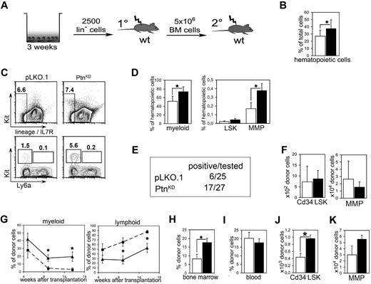 Figure 3. Loss of microenvironmental Ptn leads to enhanced stem cell maintenance in vitro. (A) Scheme of coculture experiment. In brief, Lin− cells from Ly-5.2+ WT BM were cocultured with PtnKD and pLKO.1 stroma in contact. After 3 weeks, cultures were transplanted into irradiated WT mice. Recipients were killed 16 weeks after injection, and 5 × 106 BM cells were again transplanted into irradiated WT recipients. (B) Total number of hematopoietic cells as percentage of the total cell number (hematopoietic + stromal cells) recovered from the culture. Statistics were performed with a paired Student t test. (C) Example of the flow cytometric analyses after coculture. (D) Hematopoietic subpopulations in stromal cocultures. Myeloid cells were gated as Gr1low−high, CD11b+. LSKs and MMPs were gated as Lin− Ly6a+ Kit+ cells and Lin− Ly6a− Kit+ cells, respectively. Statistics were performed with a paired Student t test. (E) Engraftment in PB 16 weeks after primary transplantation. Animals were counted positive with ≥ 1% engraftment in blood and with donor cells containing ≥ 1% myeloid and lymphoid cells, respectively. (F) Enumeration of Cd34− LSK and MMP populations in BM 16 weeks after primary transplantation of cocultured cells. Shown are the results of mice with ≥ 1% engraftment in BM (n = 4, white bars, pLKO.1 stroma in cocultures; n = 8, black bars, PtnKD stroma in cocultures). (G) Frequency of lymphoid and myeloid cells within the donor cell population in PB of transplanted mice, 5, 10, and 16 weeks after transplantation (pLKO.1 = 6; PtnKD = 8). Secondary transplantation, donor engraftment levels in BM (H; n = 9), and in PB (I). (J) Secondary transplantation, total number of donor-derived Cd34− LSKs in BM 16 weeks after the start of secondary transplantation, as well as (K) donor-derived MMPs in BM. All values are mean ± SEM; *P < .05.