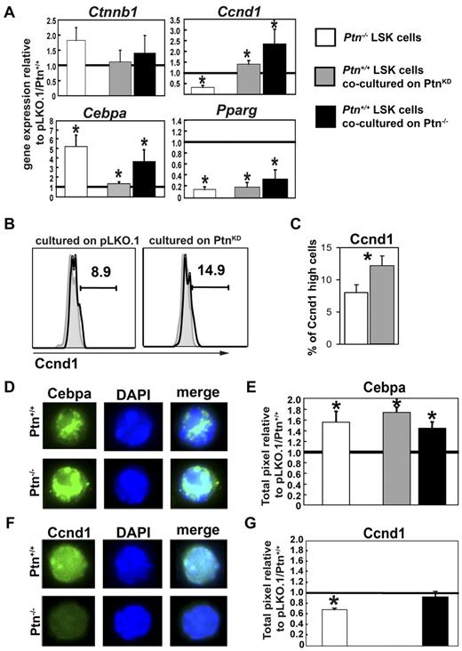 Figure 6. Altered gene expression and protein levels in stem cells and progenitors lacking microenvironmental Ptn. (A) Gene expression analysis in sorted LSK cells from Ptn−/− BM, from cocultures with PtnKD (n = 5), or from cocultures on primary Ptn−/−stromal cells (n = 3). Gene expression was normalized relative to the housekeeping gene Gorasp2. Shown is the ratio of the normalized gene expression to Ptn+/+, pLKO.1, and primary Ptn+/+ stroma. (B) Ccnd1 protein levels in 3-day cocultures on PtnKD or pLKO.1 UG26-1B6 obtained by intracellular flow cytometry. Shown is a representative example. (C) Percentages of Ccnd1high cells in LSK cells recovered from 3-day cocultures on pLKO.1− or PtnKD UG26-1B6 cells. (D) Cebpa protein levels in LSK cells sorted from the BM of Ptn+/+ and Ptn−/− mice. (E) Pixel quantitation of stained LSK cells from Ptn−/− mice (white bars, n = 3), cocultures on PtnKD (gray bars, n = 6), or primary Ptn−/− stromal cells (black bars, n = 3). Shown is the ratio of pixels to Ptn+/+, pLKO, or WT stroma, respectively. (F-G) Similar measurements of Ccnd1 protein levels in LSK cells from the BM of Ptn−/− mice, cocultures on primary Ptn−/− stromal cells. Cocultures on PtnKD stroma could not be analyzed. All values are mean ± SEM; statistics were performed with the paired Student t test, *P < .05.