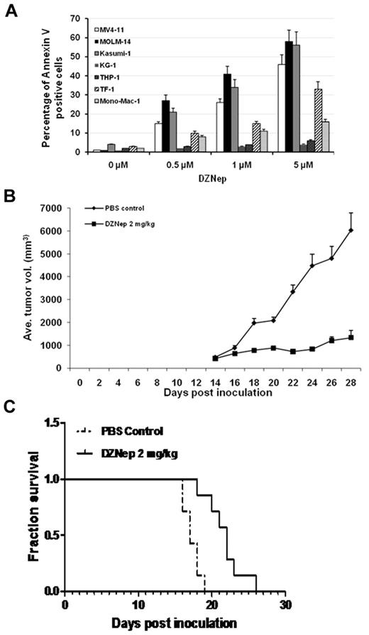 Figure 1. DZNep showed potent anti-AML efficacy in vitro and in vivo. (A) AML cell lines were treated with either DMSO control or DZNep at dose of 0.5, 1, and 5μM for 48 hours. Cells were harvested, washed, and stained with annexin V/PI double dye, then subjected to flow cytometric analysis. (B) Mice were treated with PBS control or DZNep 2 mg/kg/d, respectively. Tumor volume curves were constructed with measurements taken by caliper. Average of tumor volume was calculated as the average of 7 mice in each group ± SD. (C) Survival analysis showed that DZNep treatment improved the survival time of mice inoculated with human leukemia (P < .05). Seven mice in each group were used for the construction of the survival curves.