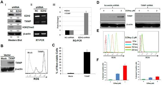 Figure 5. The effect of knockdown of EZH2 or ectopic expression of TXNIP or knockdown of TXNIP in MOLM-14 cells. (A) MOLM-14 cells were transduced with pSIREN-EZH2 shRNA or nontargeting virus for 72 hours. The protein levels of EZH2, TXNIP, and H3K27me3 were determined by Western blot analysis. (i) β-actin was used as the loading control; the mRNA levels of EZH2 and TXNIP were analyzed by (ii) RT-PCR and (iii) RQ-PCR. Densitometric analysis was performed using Amersham Image Scanner with LabScan ImageQuant TL software. The expression ratio of EZH2, and TXNIP was calculated as the EZH2-shRNA–treated samples relative to control samples after normalization with respective β-actin level. (B) MOLM-14 cells were transfected with pLVX-TXNIP or control lentivirus (Mock) for 72 hours, followed by Western blot analysis of TXNIP and FACS analysis of ROS production. (C) Trypan blue exclusion method was used to determine the cell viability in a hemocytometer under an invert microscope. (D-F) MOLM-14 cells were transduced with scramble- (left panels) or TXNIP-shRNA (right panels). Cells were then incubated with either DZNep 0, 1, 2μM, followed by Western blot analysis of TXNIP protein (D), and apoptosis after 48 hours (F), or DZNep 2μM, followed by quantification of ROS production at 0, 8, 16, and 24 hours (E). Three separate determinations were indicated as mean ± SD.