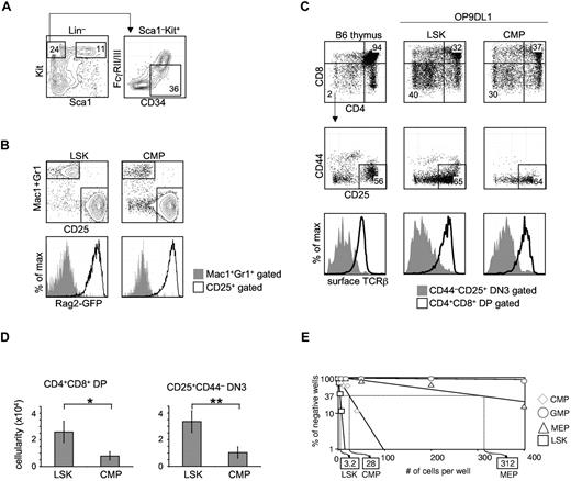 Figure 1. Total CMPs harbor in vitro T-lineage potential. (A) Traditional CMPs were identified and sorted by flow cytometry. BM from WT B6 mice was stained for Lin, Sca1, Kit, CD34, and FcγRII/III (CD16/32). CMPs were defined as Lin–Sca1–Kit+CD34+FcγRII/IIIlow.3 Multipotent LSK cells were sorted as Lin–Sca1+Kit+. (B) CMPs or LSK cells (300 cells) were sorted from the BM of NG-BAC mice, a Rag2-reporter strain, and cultured on OP9DL1 for 7 days, before flow cytometric analysis of Mac1/Gr1, CD25, and GFPRag2 expression. (C) FACS-sorted total CMPs (300 cells), along with LSK cells, from WT B6 BM were seeded onto OP9DL1 (or OP9DL4) stromal cells. The cocultures were passaged every 5-7 days. Live hematopoietic cells (DAPI–CD45+GFP– gated) deriving from LSK cells or CMPs on OP9DL1 after 28 days of coculture were assessed for T-lineage development based on CD4, CD8, CD25, CD44, and TCRβ expression. Normal B6 thymocytes were included as reference. Shown are representative results of at least 3 independent experiments. (D) Number of CD4+CD8+ DP and CD4–CD8–CD25+ DN3 cells obtained in experiments shown in panel C. *P = .04, **P = .01. Error bars denote SEM. P values were determined by Student t test. (E) CMPs, in addition to LSK cells, GMPs, and MEPs, were seeded on OP9DL4 at increasing numbers per well. LSK cells established a 1/3.2 T-lineage precursor frequency on OP9DL4, while the T-lineage precursor frequency from total CMPs registered at 1/28. No T-lineage precursor frequency could be determined for GMPs. Results shown are from 4 independent experiments.