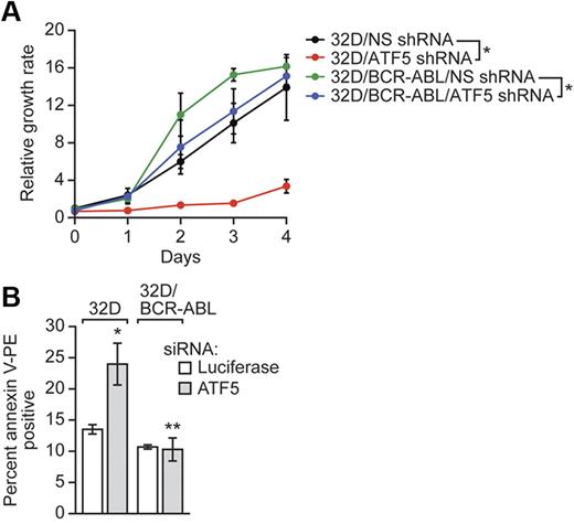 Figure 1. ATF5 suppresses cell death in normal but not BCR-ABL–transformed cells. (A) Cell viability analysis in 32D or 32D/BCR-ABL cells stably expressing a nonsilencing (NS) or ATF5 shRNA. Error bars represent SD. For each cell line, values were normalized to those observed at day 0. (B) 32D or 32D/BCR-ABL cells were treated with a luciferase or ATF5 siRNA and monitored for cell death by annexin V–PE staining. Error bars represent SD. *P < .05; **P > .05.