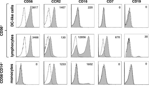 Figure 2. CD56+ DC-like cells are CCR2+CD16− consistent with the phenotype of inflammatory DC-like cells. CD56+ PBMCs or CD14+CD56− PBMCs were isolated using either CD56 or CD14 microbeads. Cells were stained for the markers indicated and selective forward scatter/side scatter gating was used to analyze either monocytes/DC-like cells or lymphocytes. A representative donor is shown.
