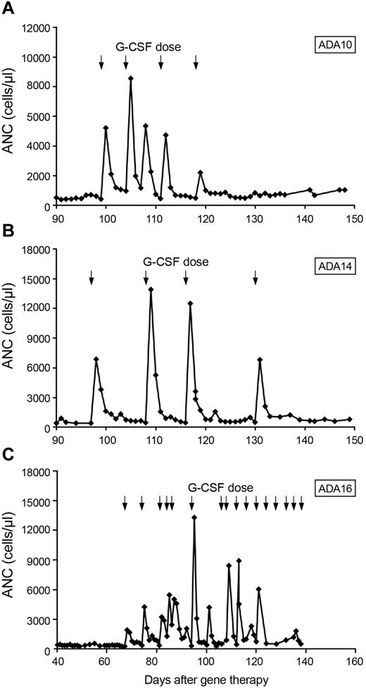Figure 3. Response to G-CSF after low-dose busulfan conditioning. Arrows represent G-CSF doses. (A) Patient ADA10. (B) Patient ADA14. (C) Patient ADA16.