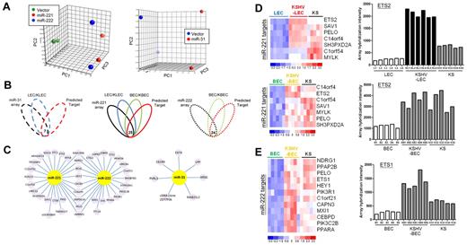 Figure 4. Downstream target identification for KSHV-regulated miRNAs. (A) PCA using differentially expressed genes (P < .005 plus > 1.5-fold change). Each spot represents a single array. (B) Venn diagram showing the principle of selecting putative miRNA-regulated targets. Array data showing overexpression of the miRNA is shown in black, LECs versus KLECs are shown in blue, BECs versus KBECs are shown in green, and the computational prediction is shown in red. The number at the intersection indicates the overlapped genes across all groups. (C) Details of miRNA targets, with 9 common targets being found for miR-221 and miR-222. (D-E) Heat maps and histograms showing that our predicted miRNA targets are still deregulated in KS tissues.