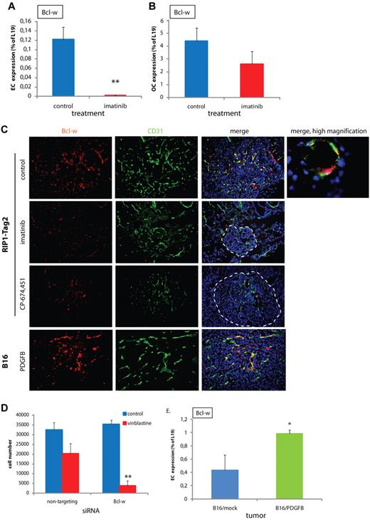 Figure 2. Bcl-w is a pericyte-induced antiapoptotic protein in ECs. (A-B) Expression of Bcl-w in ECs (A) or OCs (B) comprising cancer cells, pericytes, macrophages, and infrequent cancer-associated fibroblastic cells fractionated from PNET tumors excised from RIP1-Tag2 mice that had been treated with control or imatinib, as assessed by quantitative RT-PCR (n = 10 in each group, data shown are representative for 2 independent EC isolations). **P < .01 vs control, Student t test. (C) Immunostaining of sections from PNET of RIP1-Tag2 mice or B16/PDGFB tumors for Bcl-w (red) and CD31 (green). Cell nuclei (DAPI), blue. Original magnification, 200× (for high magnification image, 630×). The panels are representative of at least 5 fields in 5 tissue sections taken from 5 mice. (D) Number of MS1 pancreatic islet ECs after siRNA-mediated knockdown of Bcl-w and treatment with control or vinblastine (50 ng/mL). A nontargeting siRNA was used as a control. Data shown are representative for 3 independent experiments. **P < .01 vs nontargeting/vinblastine, Student t test. (E) Expression of Bcl-w in isolated ECs from B16/mock and B16/PDGFB tumors assessed by quantitative RT-PCR (n = 4 in each group, data shown are representative for 2 independent EC isolations). *P < .05 vs B16/mock, Student t test.
