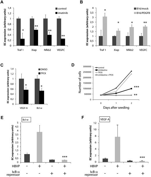 Figure 5. Pericyte-induced expression of survival genes in ECs requires NF-κB activity. (A,B) Expression of target genes of the transcription factor NF-κB was modulated in ECs from tumors in a pericyte-dependent manner, as assessed by quantitative RT-PCR on purified ECs from PNET from RIP1-Tag2 mice treated with control or imatinib (A), and from B16/mock or B16/PDGFB tumors (B). *P < .05 vs control; *P < .01 vs control. (C,D) The NF-κB inhibitor TPCK (3μM) reduced the basal expression of Bcl-w and VEGF-A in MS1 ECs (D) and sensitized MS1 cells to the action of vinblastine (50 ng/mL; D). *P < .05 vs DMSO; **P < .01 vs vinblastine; ***P < .001 vs control. (E,F) Pericytes are unable to modulate the expression of Bcl-w (E) or VEGF-A (F) in ECs on expression of the IκB-α super-repressor protein in MS1 cells. ***P < .001 vs coculture. HBVP indicates human brain vascular pericytes.
