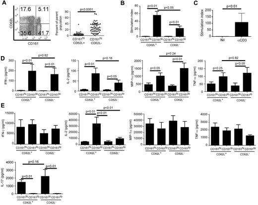 Figure 1. Acquired down-regulation of the response to TCR signaling in CD161hi CD62L+ and CD62L− memory CD8α+ T-cell subsets. (A) The FACS plot (left) is gated on CD95+ memory CD8α+ TcRαβ+ T cells and quadrants indicate high versus intermediate/absent expression of CD161. The graph (right) shows the percentages of CD161hi cells within the CD62L+ and CD62L− memory subsets. Horizontal bars represent the mean ± SE of experiments in 57 individuals. (B) Sort-purified adult memory subsets were cultured with αCD3 for 72 hours before assessment of proliferation by tritiated thymidine incorporation. Data are representative of the mean ± SE of 13 separate experiments. (C) UCB CD161hi cells were cultured alone (Nil) or with αCD3 for 72 hours before assessment of proliferation by tritiated thymidine incorporation. Data are representative of the mean ± SE of 4 separate experiments. (D-E) Sort-purified subsets were stimulated with αCD3 (D) or PMA/ionomycin (E) and cytokine concentrations were assessed in the supernatant 18 hours later. Data represent the mean ± SE of at least 4 separate experiments.