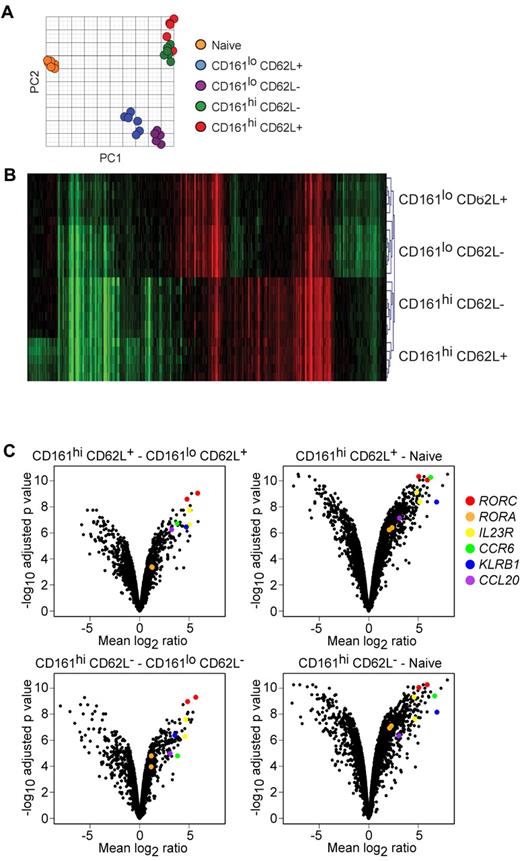 Figure 2. Transcriptional profiling identifies 4 distinct memory CD8α+ T-cell subsets defined by expression of CD161 and CD62L. (A) Principal component analysis shows grouping of gene expression profiles of TN (orange), CD161hi CD62L+ (red), CD161hi CD62L− (green), CD161lo CD62L+ (blue), and CD161lo CD62L− (purple) subsets isolated from 6 healthy individuals. (B) Hierarchical cluster analysis of gene expression in sort-purified memory subsets compared with matched TN cells from 6 healthy individuals shows transcriptionally distinct memory subsets. Genes and subsets are clustered in columns and rows, respectively. All samples of each subset clustered together; therefore, only the names of the clustered subsets and not the individual samples are shown in the figure. Red profiles represent higher gene expression (maximum 32-fold) and green profiles represent lower gene expression (minimum 32-fold) compared with matched TN cells. (C) Volcano plots show differentially expressed transcriptional profiles of CD161hi CD62L+ compared with CD161lo CD62L+ cells (top left), CD161hi CD62L+ compared with TN cells (top right), CD161hi CD62L− compared with CD161lo CD62L− cells (bottom left), and CD161hi CD62L− compared with TN cells (bottom right) from 6 healthy individuals. Each point represents a single gene and/or probe, and type 17 associated genes are color-coded, as indicated in the legend. The numerator and denominator defining the mean log2 ratio of gene expression are listed first and second, respectively, in the volcano plot title; thus, genes expressed at higher levels in the numerator subset are depicted on the right of each plot.