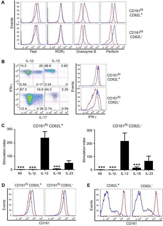 Figure 6. Innate cytokines dictate the fate of CD161hi CD62L+ and CD62L− cells. (A) CD161hi CD62L+ (top) and CD62L− (bottom) cells were stimulated with αCD3/αCD28 and IL-1β (red) or IL-12 (blue) and cultured for 14 days before assessment of Tbet, RORγ, perforin, and granzyme B expression. Data represent at least 4 experiments. (B) CD161hi CD62L+ (top) and CD62L− (bottom) cells were stimulated and cultured for 14 days as in panel A before stimulation with PMA/ionomycin and assessment by cytokine flow cytometry (left panels). The IFN-γ MFI is shown (right panels) for cells cultured in IL-1β (red) or IL-12 (blue). Data represent at least 7 separate experiments. (C) CD161hi CD62L+ (left) and CD62L− (right) cells were stimulated with αCD3/αCD28 and innate cytokines, cultured for 14 days, and restimulated with αCD3 with or without αCD28 for 72 hours before assessment of tritiated thymidine incorporation. All conditions proliferated after stimulation on day 14 with αCD3/αCD28 (data not shown) and only those stimulated with αCD3 alone are shown. Data depict the mean ± SE of at least 5 experiments. ***P < .001 (1-way ANOVA) indicates a significant difference in proliferation of cells cultured in the indicated condition and those in IL-12. (D) Sort-purified subsets were stimulated with αCD3/αCD28 in the presence of IL-1β (red) or IL-12 (blue) and cultured for 14 days before assessment of CD161 expression. Data represent at least 5 experiments. (E) CD161hi (red) and CD161lo (blue) CD62L+ (left) and CD62L− (right) cells were stimulated with αCD3/αCD28 in the presence of IL-12 and cultured for 14 days before assessment of CD161 expression. Data represent 6 experiments.