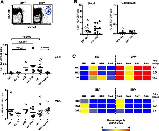 Figure 2. pDCs are recruited to the colorectum after SIV infection. (A) Frequency of pDCs and mDCs in the colorectum of uninfected and SIV-infected RMs at indicated times PI. ART-treated macaques received 22 weeks of therapy at 18 weeks PI. FACS plots depict representative data from an uninfected and SIV-infected animal. (B) Frequency of pDCs in the blood and colorectum of SIV− or SIV+ SMs. (C) Affymetrix GeneChip heat map with linear fold change values of MX1, MX2, and OAS2 gene expression in the colorectum of uninfected and chronically SIV-infected RMs and SMs. Numbers indicate individual animals. SIV+ RMs were at 11 weeks PI and SIV+ SMs were naturally infected for at least 1 year. Genes represented here are considered significant if they were regulated at least 1.5-fold and have a P value cut-off of .05 (adjusted for multiple hypothesis testing using the Benjamini-Hochberg false discovery rate method). Color scale represents level of gene expression, where −1 indicates very low level of expression, 0 indicates median level of expression, and +1 indicates high level of expression. Fold change values were calculated against uninfected RMs or uninfected SMs.