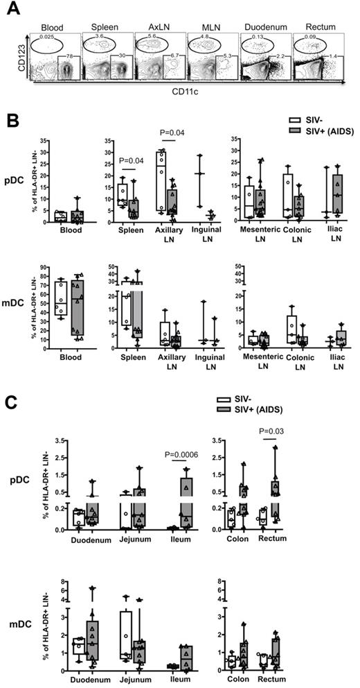 Figure 3. Macaques with AIDS have increased pDC frequency in the ileum, colon, and rectum. (A) FACS plots depict the gating used and the frequency of pDCs and mDCs as a percentage of HLA-DR+ LIN− in different tissues from an SIV+ RM with AIDS. AxLN represents axillary LNs. Frequency of pDCs and mDCs as a percentage of HLA-DR+ LIN− cells in the peripheral and GALT (B) and gastrointestinal tract (C). Each symbol represents a RM.