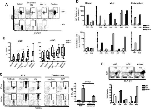 Figure 4. pDCs in SIV+ RM reflect a more inflammatory rather than tolerogenic phenotype. (A) FACS plots depict gating used and the proportion of CD80+ pDCs in different tissues. FACS plots are an overlay of pDCs (black) on the HLA-DR+ LIN− population (gray). The SIV+ and SIV− animals represented here were examined at different times hence the differences in gating. The gates were placed based on CD80 expression on total lymphocytes. (B) Proportion of CD80+ pDCs or mDCs in the blood, spleen, peripheral LNs, gut LNs, and colon/rectum. *P < .01, **P < .005. ND indicates not done. (C) Intracellular cytokine expression of IFN-α and TNF-α in pDCs from the MLN and colorectum after stimulation with imiquimod or AT-2–inactivated SIVmac251. Bar chart shows the proportion of IFNα+ pDCs in the MLN or colorectum after stimulation with AT-2–inactivated SIVmac251 from 3 SIV+ RMs. (D) Relative fold expression of IDO and IL-10 mRNA in pDCs, mDCs, and CD14+ cells from individual SIV+ RMs. Fold expression was calculated using the δCt method and compared against the same gene mRNA levels in pDC from the same animal. ND indicates not done. (E) Proportion of IDO+ cells from the MLN of individual SIV+ RMs. FACS plots show pDCs, mDCs, or CD14+ cells (black) overlaid on total cells (gray background). Mean fluorescence intensity (MFI) values of IDO expression in pDCs, mDCs, or CD14+ cells are indicated on the plots.