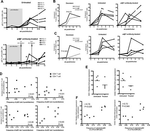 Figure 6. In vivo blockade of α4β7-integrin dampens pDC recruitment and reduces immune activation in the colorectum of SIV-infected RMs after intrarectal infection. (A) Frequency of pDCs in colorectum of the untreated control group and anti–α4β7-integrin antibody-treated group. Asterisk (*) indicates significant difference between groups at week 2 PI (P = .02). Frequency of Ki-67+ CD8 T cells (B) and Ki-67+ CD4 T cells (C) in the colorectum post-SIV infection. Charts show the geomean and individual data from the treated and untreated groups. An average of 3 preinfection time points was used for week 0. The increase in Ki-67+ CD8 or CD4 T cells was calculated by subtracting the proportion of these cells at week 0 from the proportion of Ki-67+ CD8 or CD4 T cells at a specific postinfection time point. P values (0.03 or 0.049) indicate significant difference between groups at week 3 PI for CD8 T cells or at week 2 PI for CD4 T cells. (D) Association between pDC frequency in the colorectum and the increase in Ki-67+ CD8 or CD4 T-cell levels in the colorectum at week 2 or week 3 postinfection. Data are obtained from treated and untreated groups. Nonparametric correlation was analyzed using the Spearman 2-tailed test. (E) Relative fold increase of MX1 or OAS2 mRNA levels in the colorectum of untreated and treated RMs at week 3 PI. Relative fold increase gene expression is calculated using week 3 PI levels over preinfection levels. (F) Association between pDC frequency in the colorectum at week 3 PI and MX1 or OAS2 fold-increase gene expression levels in the colorectum at week 3 PI. Data are obtained from treated and untreated groups. Nonparametric correlation was analyzed using the Spearman 2-tailed test.