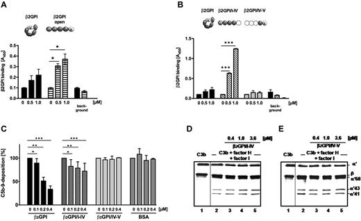 Figure 2. β2-GPI in its elongated form interacts with C3b and enhances degradation of C3b. (A) β2-GPI (black columns) shows minor binding to C3b, but pH-modified β2-GPI (gray columns) gained binding activities to C3b. Binding of the β2-GPI antibody to C3b is shown (background). (B) β2-GPI (black columns) shows minor binding to C3b, but recombinant β2-GPI/I-IV (patterned columns) bound to immobilized C3b. The binding was dose-dependent. β2-GPI/IV-V (light gray columns) did not bind to C3b. Data are mean ± SD of 3 independent experiments. *P < .05. ***P < .001. (C) NHS (20%) was preincubated with β2-GPI, β2-GPI/I-IV, or β2-GPI/IV-V (each 0.1-0.4μM), surface activated via the alternative complement pathway, and assayed for presence of C5b-9. β2-GPI (black columns) and β2-GPI/I-IV (patterned columns) reduced C5b-9 deposition. Fragment β2-GPI/IV-V (light gray columns) and BSA (gray columns) showed no effect on pathway activation. Data are mean plus or minus SD of 4 independent experiments. *P < .05. **P < .01. ***P < .001. (D) β2-GPI/I-IV showed low cofactor enhancing activities (lanes 2-5). (E) β2-GPI/IV-V did not modulate C3b cofactor activities (lanes 2-5).