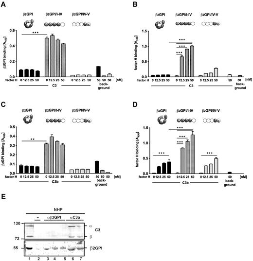Figure 4. β2-GPI forms complexes with C3/C3b and factor H. β2-GPI, β2-GPI/I-IV, and β2-GPI/IV-V together with increasing amounts of factor H were incubated with immobilized C3/C3b and binding of β2-GPI and in parallel of factor H were analyzed by ELISA. (A) β2-GPI/I-IV bound to immobilized C3, and binding was not increased with higher amounts of factor H present (patterned columns). β2-GPI and β2-GPI/IV-V showed no binding to C3 (black and light gray columns). Low binding of the ligands to the plate without C3 is shown (background). (B) β2-GPI/I-IV bound to C3 enabled dose-dependent binding of factor H to C3 (patterned columns). Circular β2-GPI had no effect on factor H binding to C3 (black columns) and fragment β2-GPI/IV-V mediated minor binding of factor H to C3 (light gray columns). Factor H binding to C3 alone (small black column) or to the plate (background) was excluded. (C) Steady amounts of β2-GPI/I-IV bound to C3b (patterned columns) in the presence of increasing concentrations of factor H. Circular β2-GPI (black columns) and β2-GPI/IV-V (light gray columns) did not bind to C3b. Binding of the proteins β2-GPI, β2-GPI/I-IV, and β2-GPI/IV-V without C3b (background). (D) In the presence of β2-GPI/I-IV, increasing amounts of factor H bound to C3b (patterned columns). Preincubation of C3b with circular β2-GPI (black columns) or β2-GPI/IV-V (light gray columns) did not enhance binding of factor H to C3b. (A-D) Data are mean ± SD of 3 independent experiments. **P < .01. ***P < .001. (E) β2-GPI/C3 complexes were isolated from NHP as β2-GPI (lanes 6 and 7 bottom panel) was bound to precipitated C3 (lanes 6 and 7 top panel) and showed similar mobility as plasma β2-GPI (lane 1 bottom panel). β2-GPI did not bind to the column alone (lane 2 bottom panel). NHP-derived C3 did not bind to immobilized β2-GPI (lanes 3-5 top panel).