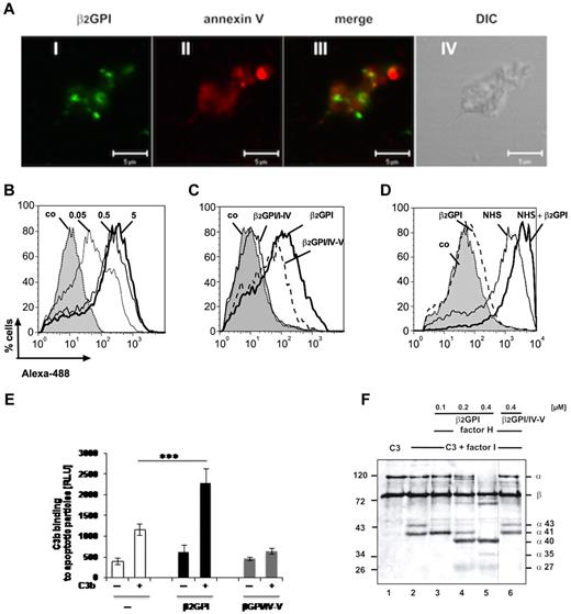 Figure 5. β2-GPI binds to apoptotic particles, recruits C3/C3b, and mediates inactivation by factor H and factor I. (A) β2-GPI (i, green fluorescence) and also annexin V (ii, red fluorescence) bound to apoptotic particles from human umbilical vein endothelial cells. Overlay demonstrates colocalization of β2-GPI and annexin V to particles (iii), and unstained particles are shown by differential interference contrast (DIC; iv) by laser scanning microscopy (LSM 510 META, Zeiss, oil immersion objective 63×/1.4 NA, LSM519 Version 3.2 software). Bars represent 5μm. (B) β2-GPI (0.05-5 μg) bound to the particles in a dose-dependent manner as measured by flow cytometry. (C) β2-GPI and β2-GPI/IV-V bound to apoptotic particles, in contrast to fragment β2-GPI/I-IV, which has the C-terminal SCR5 deleted. (D) C3/C3b from NHP is deposited on apoptotic particles and addition of β2-GPI to the plasma enhanced C3/C3b binding to the particles. (E) Purified C3b is recruited by β2-GPI (black columns) but not by β2-GPI/IV-V (gray columns) to the surface of apoptotic particles. Data are mean ± SD of 3 independent experiments. ***P < .001. (F) Apoptotic particles were loaded with increasing amounts of β2-GPI and constant amounts of factor H. C3 and factor I were added and C3 cleavage followed by immunoblotting. β2-GPI enhanced degradation of C3 (lanes 3-5). Novel cleavage products are indicated. Factor I alone (lane 2) or β2-GPI/IV-V (lane 6) had no enhancing effect. (A-C,E) Data are representative results from 3 experiments.