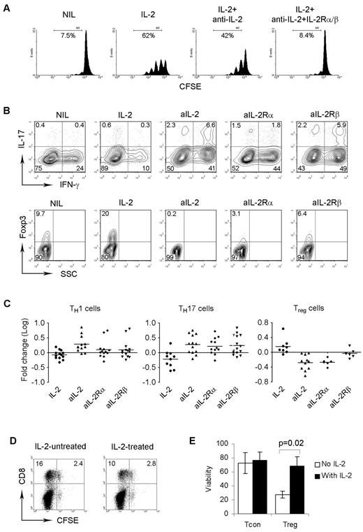 Figure 1. Effect of IL-2 signaling on differentiation of intratumoral T cells in FL. (A) Representative histograms (n = 3) showing proliferation measured by CFSE staining of T cells treated with IL-2, or anti–IL-2, or anti–IL-2 plus anti–IL-2Rα and anti–IL-2β Abs. Proliferative capacity was expressed by calculating the number of CFSEdim cells. (B) Representative plots (n = 6) showing the expression of IL-17, IFN-γ, or Foxp3 in CD4+ T cells treated with or without IL-2, anti–IL-2, anti–IL-2Rα, or anti–IL-2Rβ Ab. (C) Summary of the numbers of TH1 (CD4+IFN-g+) or TH17 (CD4+IL-17+) or Treg (CD4+Foxp3+) cells induced by IL-2 or anti–IL-2, anti–IL-2Rα, or anti–IL-2Rβ Ab. The induction of TH1 or TH17 or Treg cells was converted to logarithm number. (D) Representative plots (n = 4) showing proliferation measured by CFSE staining of CD8+ T cells cocultured CD4+ T cells pretreated with or without IL-2. (E) Summary of viability measured by annexin/PI assay of CD4+CD25− conventional (Tcon) or CD4+CD25+ regulatory (Treg) T cells treated with or without IL-2 (n = 3).