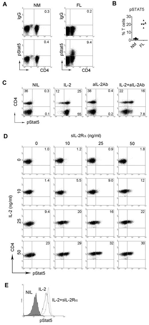 Figure 4. sIL-2Rα enhances IL-2–induced phosphorylation of Stat5 in dose-limited manner in FL. (A) Dot plots from a representative of normal individuals and FL biopsy specimens showing constitutive expression of phosphorylated Stat5 in intratumoral CD4+ T cells. (B) Summary of the numbers of CD4+ T cells expressing phosphorylated Stat5 in normal individuals and FL patients (n = 5). (C) Representative dot plots (n = 3) showing induction of Stat5 phosphorylation in T cells treated with either IL-2 or aIL-2 Ab or in combination. Stat5 phosphorylation was measured by flow cytometry by using PhosFlow assay. (D) Representative dot plots (n = 4) showing induction of Stat5 phosphorylation in T cells treated with either IL-2 or sIL-2Rα alone or in combination with a series of doses. (E) Representative histogram (n = 2) showing induction of Stat5 phosphorylation in intratumoral CD4+ T cells from FL patient treated without (NIL) or with IL-2 or IL-2+sIL-2Rα.