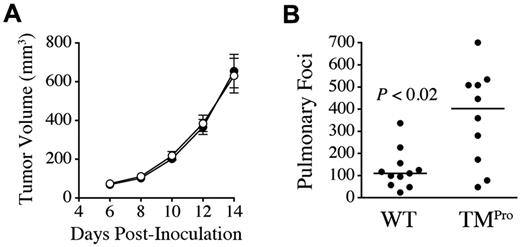Figure 3. The TMPro variant is a significant determinant of spontaneous metastasis, but not tumor growth. (A) Serial calipation after transplantation of LLCGFP cells into the dorsal subcutis of WT (●, n = 11) and TMPro mice (○, n = 10) revealed no genotype-dependent difference in tumor volume at any time point. Data represent means with SEM. (B) Quantitative analysis of spontaneous pulmonary metastases enumerated 14 days after primary tumor resection.