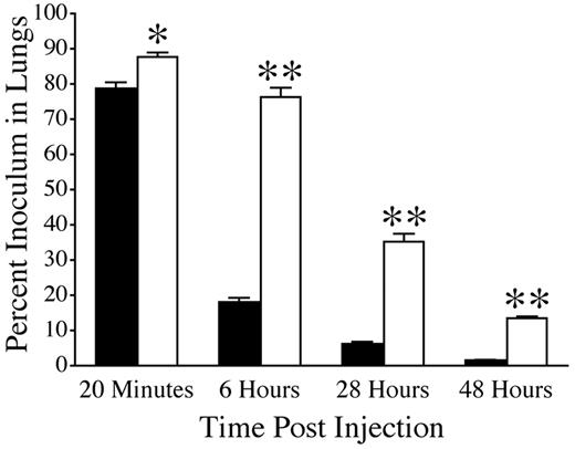 Figure 4. TMPro expression is a determinant of the sustained adhesion and/or early survival of tumor cells newly localized to the lung. Quantitative analyses of residual radiolabel within the lungs of WT (solid bars) and TMPro mice (open bars) after IV injection of 125I-labeled LLCGFP cells. Cohorts harvested at each time point consisted of 5-6 mice of each genotype. Data represents mean and SEM (*P < .05, **P < .005).