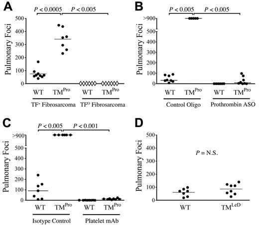Figure 5. TM influences metastasis primarily via regulation of thrombin function. (A) Quantification of pulmonary foci in WT and TMPro mice 21 days after IV injection of 3 × 105 TF-expressing fibrosarcoma cells (●) or 1 × 106 TF-deficient fibrosarcoma cells (♢). Note that TF-deficient cells were rarely successful in forming metastases, regardless of mouse genotype, even at doses significantly greater than those used to evaluate TF-expressing cells. (B) Diminution of prothrombin levels with a prothrombin specific ASO significantly diminished the number of pulmonary metastases formed 10 days after IV injection of 3 × 105 LLCGFP cells in both WT and TMPro mice. (C) Similarly, reduction of circulating platelets with a platelet-specific antibody resulted in a near complete abrogation of pulmonary metastases formed after IV injection of LLCGFP cells in both WT and TMPro mice. (D) TMLeD mice developed a similar number of pulmonary metastases compared with WT mice after intravenous injection of 3.5 × 104 B16 melanoma cells.