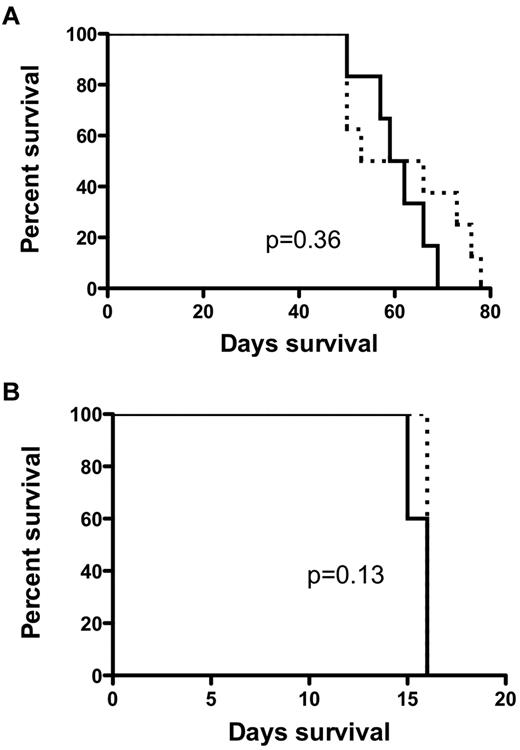 Figure 3. LSCs are resistant to the effects of endosteal Dkk1 expression. (A) Kaplan-Meier survival curve demonstrating similar survival of WT recipients (solid line; median survival, 61 days, n = 6) compared with Dkk1 recipient mice (dashed line; median survival, 60 days, P = .36, n = 8) after injection with MLL-AF9-GMP–derived pre-LSCs. (B) Kaplan-Meier survival curve of recipient mice after the fourth round of leukemia transplantation. There was no difference in the survival of mice receiving AML that had been passaged through 4 generations of Dkk1 recipients (dashed line; median survival, 16 days, n = 5) to mice receiving AML that had been passaged through 4 generations of WT recipients (solid line; median survival, 16 days, P = .13, n = 5).
