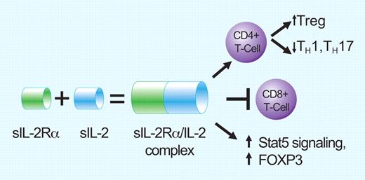 The alpha subunit of the IL-2 receptor (called sIL-2Ra) is released from the surface of T cells and is a poor prognostic marker in follicular lymphoma. Instead of blocking IL-2 activity, binding of sIL-2Ra to IL-2 is agonistic and enhances IL-2 effects on the lymphoma milieu. Effects include promotion of T-reg differentiation, blocking CD8 antitumor activity, and increasing T reg activity via Stat5 signaling and increased FOXP3. Professional illustration by Paulette Dennis.