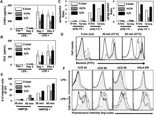 Figure 7. Properties of human monocytes/macrophages isolated from the humanized mice. Human CD45+CD14+CD33+ cells from the spleens of human CD34+ cells engrafted CSF1m/m and CSF1h/h mice were isolated after 12 weeks of transplantation. Human CD45+CD14+CD33+ cells obtained from the fetal liver served as controls. Cells were stimulated in vitro with LPS either for 24 or 48 hours, cell culture supernatants were collected and the levels of human TNFα (A) and IL-6 (B) were quantified through ELISA. Shown are the mean values of triplicate samples. Error bars indicate ± SEM. (C) Human CD45+CD14+CD33+ cells were stimulated poly I:C for either 6 or 12 hours and the IFNα (left) and IFNβ (right) mRNA levels were quantified through Real Time PCR. Shown are the mean values of duplicate samples. (D) Human CD45+CD14+CD33+ cells were isolated from the humanized mice and incubated with FITC-labeled bacteria at 37°C either for 30 or 60 minutes and measured by flow cytometry. Cells incubated with FITC-labeled bacteria on ice served as controls. Open histograms represent cells obtained from the CSF1m/m mice, dotted histograms represent cells obtained from the CSF1h/h mice and filled histograms represent cells obtained from human fetal liver. (E) Human CD45+CD14+CD33+ cells isolated from CSF1m/m mice, CSF1h/h mice and human fetal liver were kept in the upper wells and the medium containing MIP3β was added in the lower wells. Cells were incubated for either 30 or 60 minutes and the number of cells migrated from the upper wells to the lower wells was calculated and plotted. Shown are the mean values of duplicate samples. (F) Human CD45+CD14+CD33+ cells isolated from CSF1m/m mice, CSF1h/h mice and human fetal liver were cultured either in the presence or in the absence of LPS. After 24 hours of stimulation, cells were stained with indicated surface markers and measured by flow cytometry. Open histograms represent cells obtained from the CSF1m/m mice, dotted histograms represent cells obtained from the CSF1h/h mice and filled histograms represent cells obtained from human fetal liver.