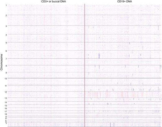 Figure 1. Whole genome copy number heatmap display of 255 CLL genomes. Copy number heatmap displays for paired DNA samples on the basis of SNP 6.0 array profiling were generated with dChipSNP. (Left) CD3+ or buccal DNA; (right) CLL CD19+ DNA. Samples are grouped by chromosome number (1-22 and X). Blue indicates copy loss, red indicates copy gain. Each column represents 1 patient.