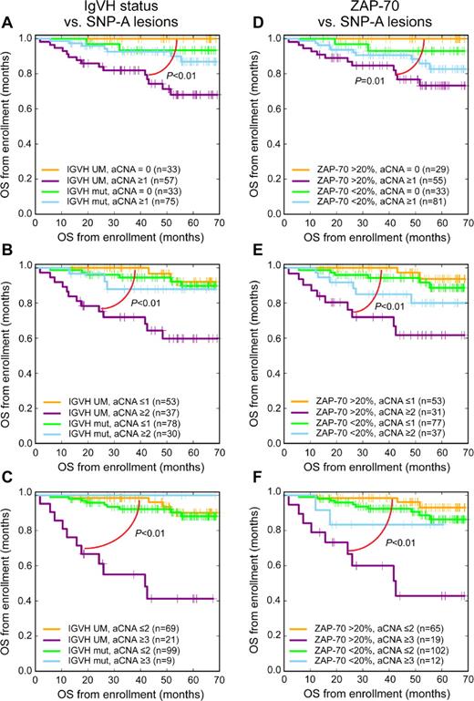 Figure 3. SNP 6.0 array–based lesion cutoffs and IgVH status or ZAP70 status and OS in CLL (bivariate analysis; Kaplan-Meier plots). Previously untreated patient group was analyzed from trial enrollment (A-C) IgVH status and various SNP 6.0 array–based lesion cutoffs and (D-F) ZAP70 status and various SNP 6.0 array–based lesion cutoffs.