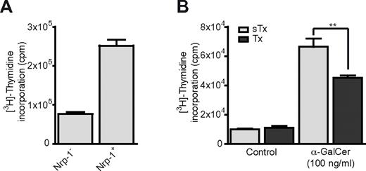 Figure 3. Nrp-1+ RTE iNKT cells proliferate more than Nrp-1− mature iNKT cells after in vitro activation. (A) Proliferation of FACS-sorted splenic Nrp-1− and Nrp-1+ iNKT cells after 3 days of in vitro activation with irradiated spleen cells in lymphocyte culture medium alone (Control) or supplemented with α-GalCer. Representative data of 2 distinct experiments. (B) Proliferation of total spleen cells from sham-thymectomized (sTx, light gray) and thymectomized (Tx, dark gray) mice after 2 days of in vitro activation with α-GalCer (n = 3 for sTx and n = 4 for Tx, **P < .01 by unpaired Student t test).