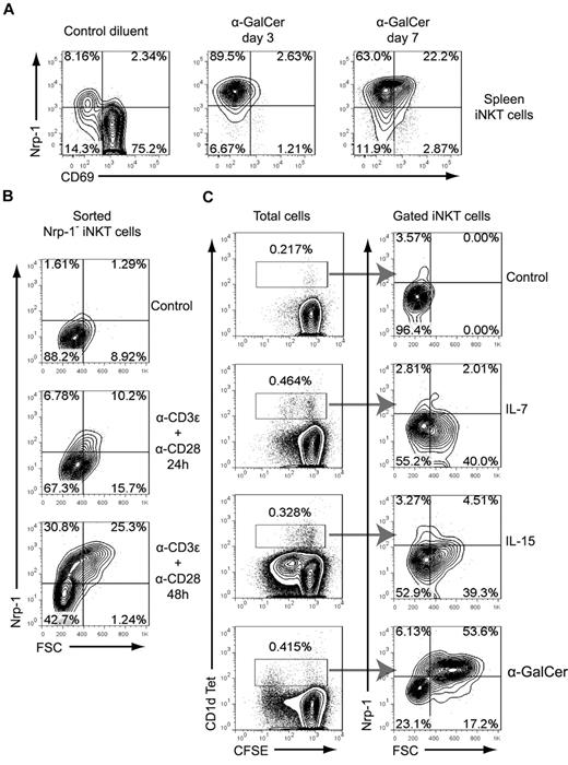 Figure 4. Nrp-1 expression is induced on iNKT cells after TCR activation. (A) Mice were injected IP with α-GalCer or control diluent, and CD69 and Nrp-1 expression on gated TCRβ+ CD1d Tet+ spleen iNKT cells was analyzed after 3 and 7 days. Representative data of 1 mouse of 2 per time point in 1 of 2 experiments are shown. (B) FACS-sorted spleen Nrp-1− iNKT cells were cultivated in lymphocyte culture medium alone (Control) or activated with anti-CD3ϵ and anti-CD28, and Nrp-1 expression on activated iNKT cells was analyzed by FACS at 24 and 48 hours. Representative data of 1 of 3 experiments are shown. (C) Analysis of Nrp-1 expression on CD1d Tet+ cells after in vitro culture of CFSE-labeled spleen cells in lymphocyte culture medium alone (Control) or supplemented with IL-7, IL-15, or α-GalCer for 72 hours. These data are representative of 2 distinct experiments performed in duplicate wells.
