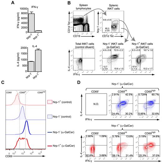 Figure 5. Nrp-1+ RTE iNKT cells are biased toward IL-4 secretion after in vitro activation but contain few rapid IFN-γ and IL-4 producers. (A) IFN-γ (top) and IL-4 (bottom) concentrations in culture supernatants of FACS-sorted splenic Nrp-1− and Nrp-1+ iNKT cells after 3 days of in vitro activation with irradiated spleen cells and α-GalCer. (B) Representative analysis of IFN-γ and IL-4 production in gated splenic Nrp-1− and Nrp-1+ iNKT cells 2 hours after IP injection of α-GalCer in 8-week-old mice. The mean ± SEM percentage of cells in defined gates or quadrants is indicated in FACS dot plots (n = 4, pooled data from 2 distinct experiments). (C-D) Mice were injected IP with 2 μg of α-GalCer or control diluent without prior injection of brefeldin A and killed 2 hours later for analysis. (C) CD69 expression in splenic Nrp-1− (blue) and Nrp-1+ (red) TCRβ+ CD1d Tet+ iNKT cells from control (shaded) and treated (bold line) animals. Three levels of CD69 expression (CD69−, CD69int, and CD69high) were determined, as indicated by the dotted lines. (D) Intracellular staining for IFN-γ and IL-4 in Nrp-1− (blue) and Nrp-1+ (red) iNKT cell subsets separated according to CD69 expression levels. These data are representative of 3 distinct experiments. ND indicates not detected.