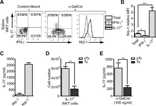 Figure 6. Splenic IL-17–producing iNKT cells are Nrp-1+ RTE iNKT cells. (A-B) Mice were treated as in Figure 5B and iNKT-enriched spleen cell suspensions were prepared for FACS analysis of IFN-γ and IL-17 production in iNKT cells. (A) Representative dot-plot analyses of IFN-γ and IL-17 expression in splenic iNKT cells of mice treated either with control diluent (left) or α-GalCer (middle), and histogram overlay showing Nrp-1 expression in total (shaded gray), IFN-γ+ (dotted line), and IL-17+ (thick black line) iNKT cells. (B) Nrp-1 relative MFI of total, IFN-γ+, and IL-17+ iNKT cells (n = 4, pooled data from 2 distinct experiments, *P < .05, ***P < .001 by unpaired Student t test). (C) IL-17 concentration in culture supernatants of FACS-sorted splenic Nrp-1− and Nrp-1+ iNKT cells after 3 days of in vitro activation with irradiated spleen cells and α-GalCer. (D) Absolute numbers of IL-17+ splenic iNKT cells in sham-thymectomized (sTx, light gray) and thymectomized (Tx, dark gray) mice assessed by FACS analysis after in vitro activation of iNKT-enriched cell suspensions with PMA and ionomycin (n = 3 for sTx and n = 4 for Tx, **P < .01 by unpaired Student t test). (E) IL-17 concentration in culture supernatant of total spleen cells from sham-thymectomized (sTx, light gray) and thymectomized (Tx, dark gray) mice after 2 days of in vitro activation with α-GalCer (n = 3 for sTx and n = 4 for Tx, **P < .01 by unpaired Student t test).