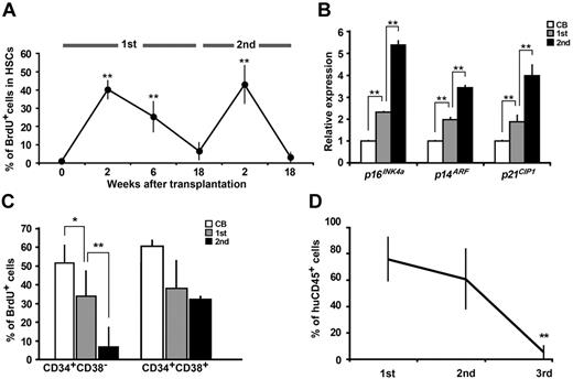 Figure 1. Functional assessment of long-term repopulating human HSCs. (A) Sublethally irradiated NOG mice were given transplants of CB Lin−CD34+CD38− cells. Recipient mice were administered with BrdU at the indicated time points (3 recipients in each time point), and Lin−CD34+CD38− cells were isolated at 2 hours after each administration. The BrdU incorporation rate for the isolated cells was analyzed by flow cytometry (**P < .01 relative to CB and 18 weeks after transplantation). (B) Relative expressions of p16INK4a, p14ARF, and p21CIP1 in Lin−CD34+CD38− cells were analyzed by quantitative real-time PCR. Each value was normalized to 18S rRNA expression and is presented as a fold induction compared with the levels detected in Lin−CD34+CD38− cells isolated from CB. Data were collected from 4 independent experiments (**P < .01). (C) Lin−CD34+CD38− cells and Lin−CD34+CD38+ cells were obtained from CB and primary and secondary recipients' mouse bone marrow at 18 weeks after transplantation (3 recipients at the each time point). At 3 days after cultivation with cytokines, cells were pulsed with BrdU for 30 minutes, and then the BrdU incorporation rate was analyzed by flow cytometry (*P < .05, **P < .01). (D) Whole bone marrow cells obtained from each primary recipient mouse (n = 6) were serially transplanted into secondary (n = 6) and tertiary (n = 5) recipient mice. Human hematopoietic cell engraftment was assessed by the expression of human CD45 by flow cytometry at 18 weeks after each transplantation (**P < .01 relative to primary recipient).