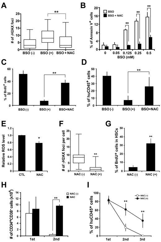 Figure 6. Antioxidant treatment prevents quantitative and qualitative loss of stem cell function in vitro and in vivo. (A) CB Lin−CD34+CD38− cells were cultured with BSO or BSO plus NAC and immunostained for γ-H2AX (γ-H2AX: green; DAPI: blue). The number of γ-H2AX foci per cell was obtained. The pooled data from 3 independent experiments are presented as the box and whisker plot (**P < .01 relative). (B) CB Lin−CD34+CD38− cells were cultured with BSO or BSO plus NAC for 2 days. The frequency of apoptotic cells was determined by annexin V/PI staining (n = 3 in each BSO concentration; **P < .01). (C) Cultured cells were pulsed with BrdU, and the BrdU incorporation was analyzed by flow cytometry (n = 4 in each culture condition; **P < .01). (D) Cells cultured under the indicated conditions were transplanted into NOG mice. Eight weeks after transplantation, engraftment levels of human hematopoietic cells were assessed by flow cytometry (6 recipients in each group; **P < .01). (E) Lin−CD34+CD38− cells were isolated from secondary recipients that had been fed with control or NAC-containing food, and intracellular ROS concentrations were determined by the intensity of DCF-DA staining using a flow cytometer. The relative ROS level is presented as a fold induction compared with the MFI value detected in Lin−CD34+CD38− cells isolated from control mice. Data were collected from 3 independent experiments (a total of 5 recipients in each group; *P < .05). (F) Lin−CD34+CD38− cells were isolated from secondary recipients that had been fed with control or NAC-containing food, and immunostained for γ-H2AX. The number of γ-H2AX foci per cell was counted. The pooled data from 3 independent experiments are presented as the box and whisker plot (9 recipients in each group; **P < .01). (G) Lin−CD34+CD38− cells isolated from NAC-treated or nontreated secondary recipients were cultured with cytokines for 3 days and then pulsed with BrdU. The percentage of BrdU positive cells was determined by flow cytometry. Data were collected from 3 independent experiments (a total of 9 recipients in each group; **P < .01). (H) The absolute number of Lin−CD34+CD38− cells in the recipient mice treated with or without NAC (5 recipients in each group; **P < .01). (I) Primary recipients were injected with 1 × 104 Lin−CD34+CD38− cells isolated from CB. Secondary and tertiary transplantation was performed at the 18th week of engraftment. A total of 1 × 105 CD34+ cells pooled from 2-5 reconstituted recipients was transplanted into new groups of irradiated recipients. Engraftment levels of human hematopoietic cells were assessed by flow cytometry. Black circles indicate recipients that had been treated with NAC. White circles indicate nontreated recipients. Data were collected from 4 independent experiments (a total of 8 recipients in each group; **P < .01).