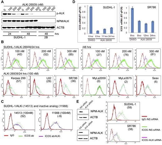 Figure 2. ICOS expression is induced by NPM-ALK. (A) Dose- and time-dependent inhibition of NPM-ALK enzymatic activity by the small-molecule ALK inhibitor (ALKi) CEP-26939 as identified in Western blot using phospho-ALK-specific antibody in the ALK+ TCL cell line SUDHL-1 with the ALK- TCL cell line 2B serving as a negative control. (B-D) Effect of ALK inhibition on ICOS expression. The depicted ALK+ TCL cell lines were examined by flow cytometry for ICOS expression after treatment with 2 different ALK inhibitors (ALKi), CEP-2693915 (B) and CEP-14513,18 (C) at the indicated concentrations. The ALK-inactive, CEP-14153-related CEP-11988 compound22 served as a negative control. The effect of 100nM CEP-26939 on expression of ICOS mRNA was also determined (D). (E) Effect of siRNA-mediated NPM-ALK depletion on expression of ICOS in the 2 depicted ALK+ TCL cell lines. (B-E) The numbers in parentheses indicate the percentage of ICOS expression inhibition relative to controls.