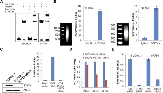 Figure 3. STAT3-mediated induction of ICOS gene expression. (A) Binding of STAT3 to the ICOS gene promoter in vitro detected by electromobility shift assay in the 2 depicted ALK+ TCL cell lines. (B) Binding of STAT3 to the endogenous ICOS gene promoter in vivo detected by chromatin immunoprecipitation. (C) Impact of siRNA-mediated depletion of STAT3 on ICOS gene promoter activity detected by the luciferase gene reporter assay. (D) Kinetics of STAT3 siRNA-mediated inhibition of ICOS mRNA expression detected by a genome-scale DNA oligonucleotide array. The results are depicted as fold increase in miR-21 mRNA expression in the STAT3 siRNA-treated compared with the control, non-sense siRNA (NS siRNA)–treated cells. (E) STAT3 siRNA depletion-induced decrease in ICOS mRNA expression detected by quantitative RT-PCR.