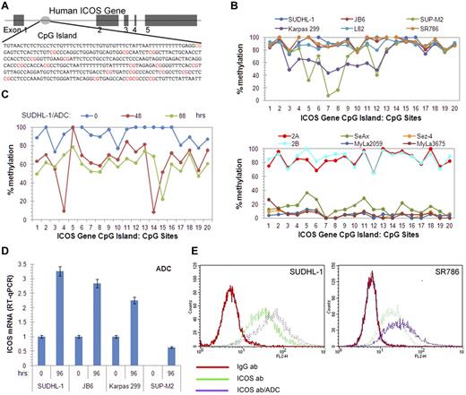 Figure 5. Impact of CpG island DNA methylation on ICOS expression. (A) Schematic diagram of the ICOS gene structure depicting the position of CpG island within intron 1 of the gene. (B) Patterns of CpG island methylation in various TCL-derived cell lines. (Top panel) ALK+ TCL-derived cell lines. (Bottom panel) Cell lines from cutaneous CD30+ lymphoproliferative disorder (2A and 2B) and CTCL (Sez-4, SeAx, MyLa2059, and MyLa3675). (C) Changes in ICOS gene CpG island methylation induced in SUDHL-1 cells by treatment with ADC for 0, 48, and 88 hours. (D) Increase in ICOS mRNA expression in ALK+ TCL cell lines treated with ADC for 96 hours detected by quantitative RT-PCR. (E) Flow cytometry–detected increase in ICOS protein expression in the depicted ALK+ TCL cell lines treated with ADC for 96 hours.