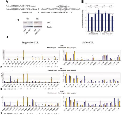 Figure 4. MiR-181b targets related CLL genes. (A) Putative binding site of miR-181b in MCL1 3′-UTRs (TargetScan5.1 Database). Asterisks indicate the nucleotides substituted in miR-181b–predicted target site to perform luciferase assay. (B) MCL1 3′-UTRs regulated by luciferase activity dependent on miR-181b in HeLa cell lines (WT, wild-type; MUT, mutant; P value t test). Error bars indicate SD (mean ± SD), n = 3. Firefly luciferase activity was normalized on Renilla luciferase activity of the gene included in the same vector. (C) Western blot analysis of MCL1 after either scrambled sequence or precursor-miR-181b transfection in HeLa cell line; β-actin has been used as loading control. Cells were collected after 48 and 72 hours of miRNA transfection. (D) Densitometric display of the TCL1, MCL1, and BCL2 Western blot analyses (supplemental Figure 2) normalized on β-actin on samples from patients with CLL with either progressive or stable disease. Asterisks indicate patients in which the protein expression of the miR-181b target genes increase. R indicates correlation factor by Pearson test; and In. time point, intermediate time point.